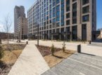 �� City Park